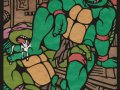 toon_1239937304639_207422_-_Donatello_Raphael_Teenage_Mutant_Hero_Turtles_T_M_N_T.jpg